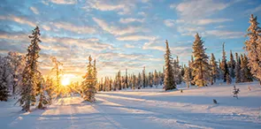 Exploration des regions emblematiques du pays 